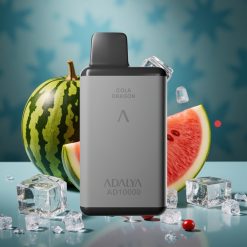 Adalya AD 10000 Puffs Einweg-Vape Wassermelone-Eis Space Grau USB-C 14 ml 2% Nikotin