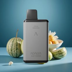 Adalya AD 10000 Puffs Wegwerf-Vape Blaue Melone Space Grau USB-C 14 ml 2% Nikotin