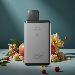 Adalya AD 10000 Puffs Wegwerf-Vape Die Zwei Äpfel Space Grau Sandgestrahltes Gummilack-Design USB-C 14 ml