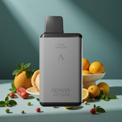Adalya AD 10000 Puffs Wegwerf-Vape Minz-Punkt Space Grau USB-C 14ml 2%