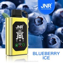 JNR SHISHA Kasten Blaubeereis N6FZ75 JNR Vapes Website
