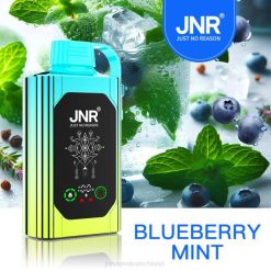 JNR SHISHA Kasten Blaubeerminze N6FZ88 JNR Vape Bestellen