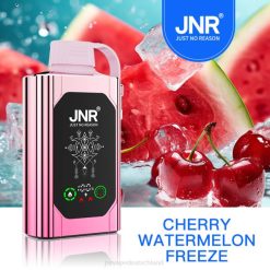 JNR SHISHA Kasten Kirschwassermelone einfrieren N6FZ77 JNR Vape Pods