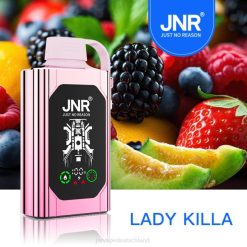 JNR SHISHA Kasten Lady Killa N6FZ76 JNR Vape Flavours