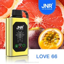 JNR SHISHA Kasten Liebe 66 N6FZ85 JNR Vapes Website