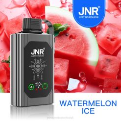 JNR SHISHA Kasten Wassermeloneneis N6FZ83 JNR Vape Germany