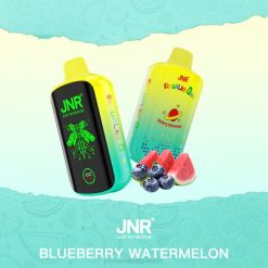 JNR SKYWALKER Kasten Blaubeer-Wassermelone N6FZ41 JNR Vape Deutschland