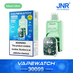 JNR Vape-Uhr Miami-Minze 4L4VRL8 Jnr Vape Pods