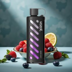 VOZOL Gear Shisha 25000 Puffs Beeren-Minze Dual Mesh 1000mAh 5mg/ml S.i.L.C Tech