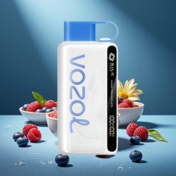 VOZOL STAR 9000/12000 Wegwerf-Vape Blaue Himbeere Eis mit 650mAh Akku, 30% schnellere Aufladung, bis zu 9000/12000 Züge